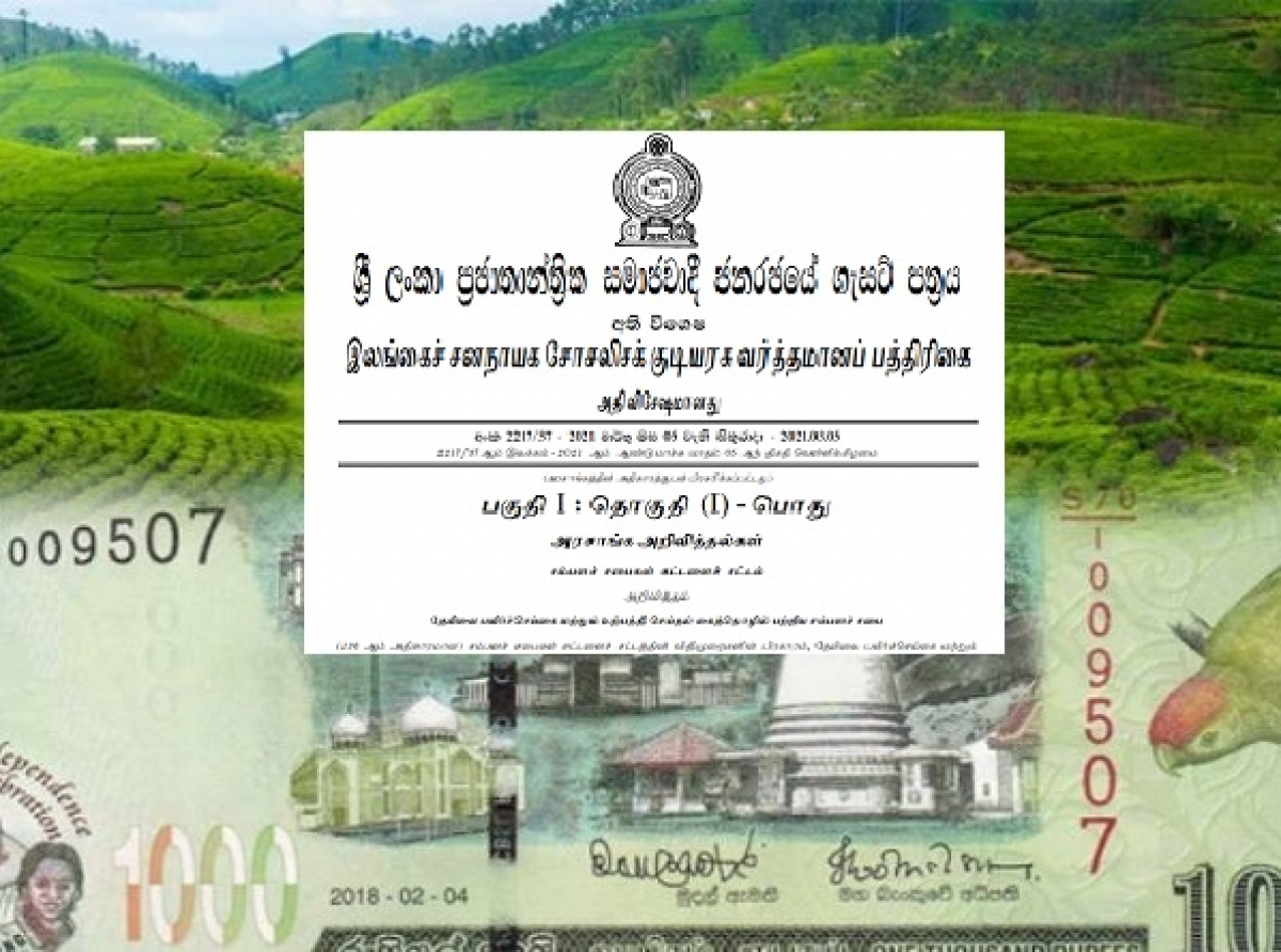 பெருந்தோட்டத் தொழிலாளர்களுக்கு 1,000 ரூபா சம்பள உயர்வு- வர்த்தமானி