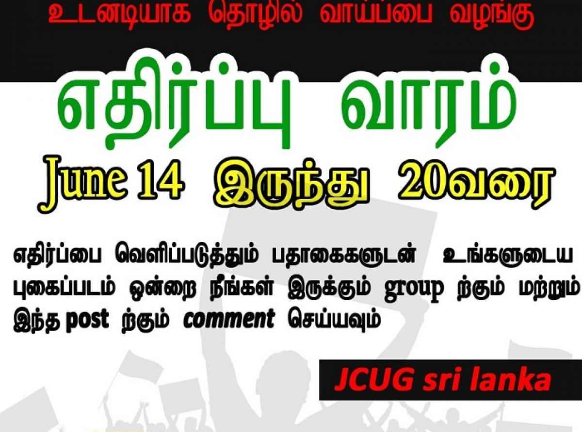 பட்டதாரிகளுக்கு உடன் தொழில் வழங்குக Online Protest படங்கள் இணைப்பு 