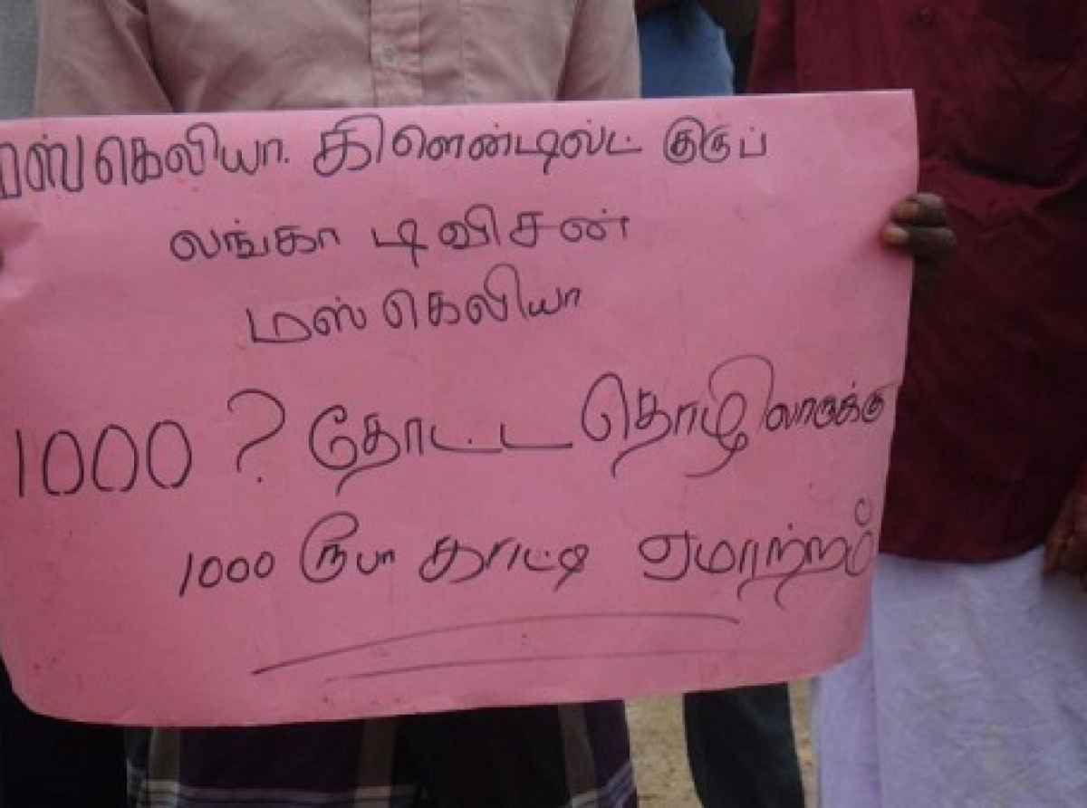 20 கிலோ கொழுந்து பறித்தாலே 1,000 ரூபா: பாதிப்பில் தோட்டத் தொழிலாளர்கள்