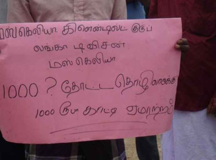 20 கிலோ கொழுந்து பறித்தாலே 1,000 ரூபா: பாதிப்பில் தோட்டத் தொழிலாளர்கள்