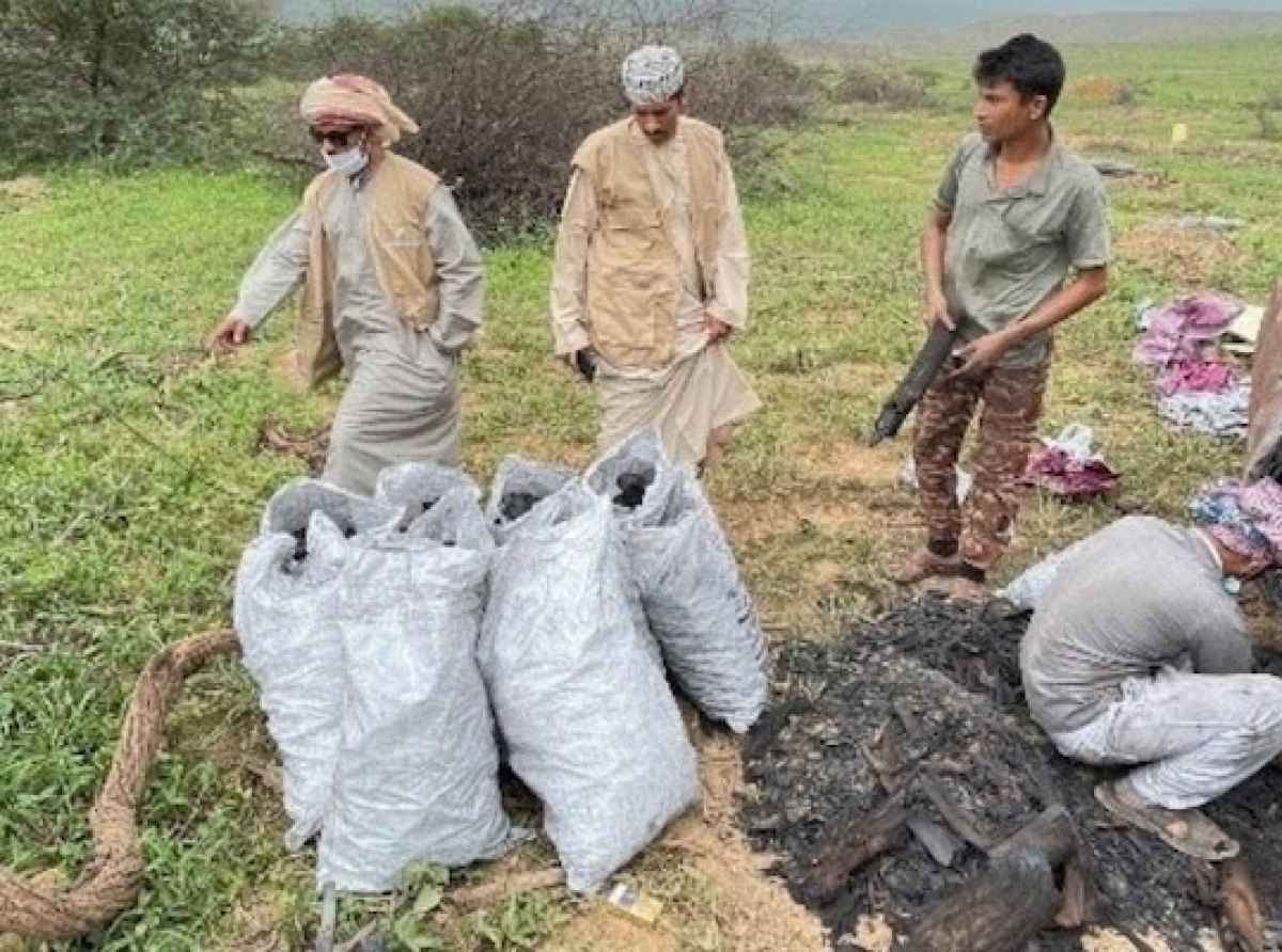 விறகுக்காக மரம் வெட்டிய புலம்பெயர் தொழிலாளர்கள் கைது