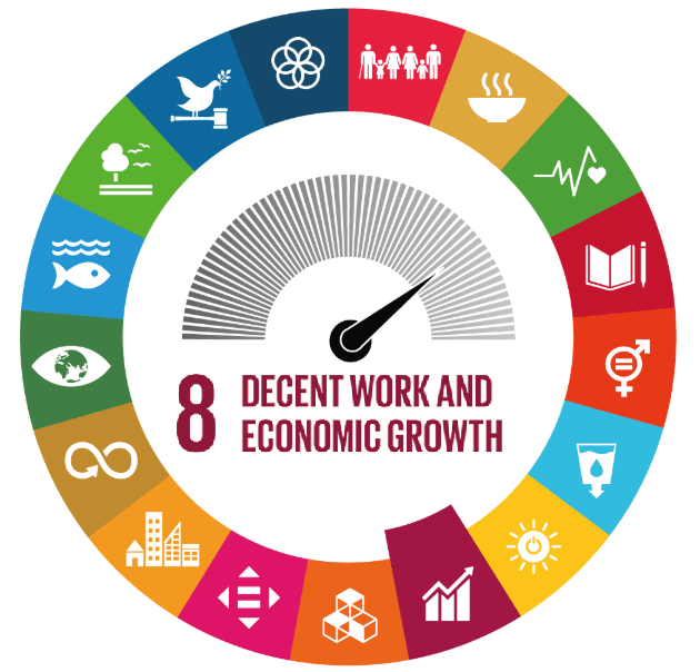 SDG8